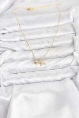 Gold Renk Pirinç Minimal Yıldız Model Kadın Kolye