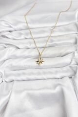 316L Çelik Zincir Gold Renk Kutup Yıldızı Model Kadın Kolye