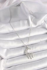 316L Çelik Gümüş Renk Zincir Zirkon Taşlı Hilal Model Sallantı Yaprak Detay Kadın Kolye